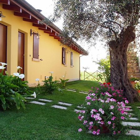 Agriturismo Tenuta Santa Maria Notaresco Экстерьер фото