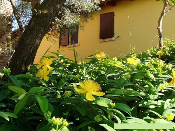 Agriturismo Tenuta Santa Maria Notaresco Экстерьер фото