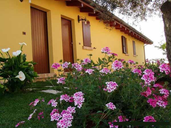 Agriturismo Tenuta Santa Maria Notaresco Экстерьер фото