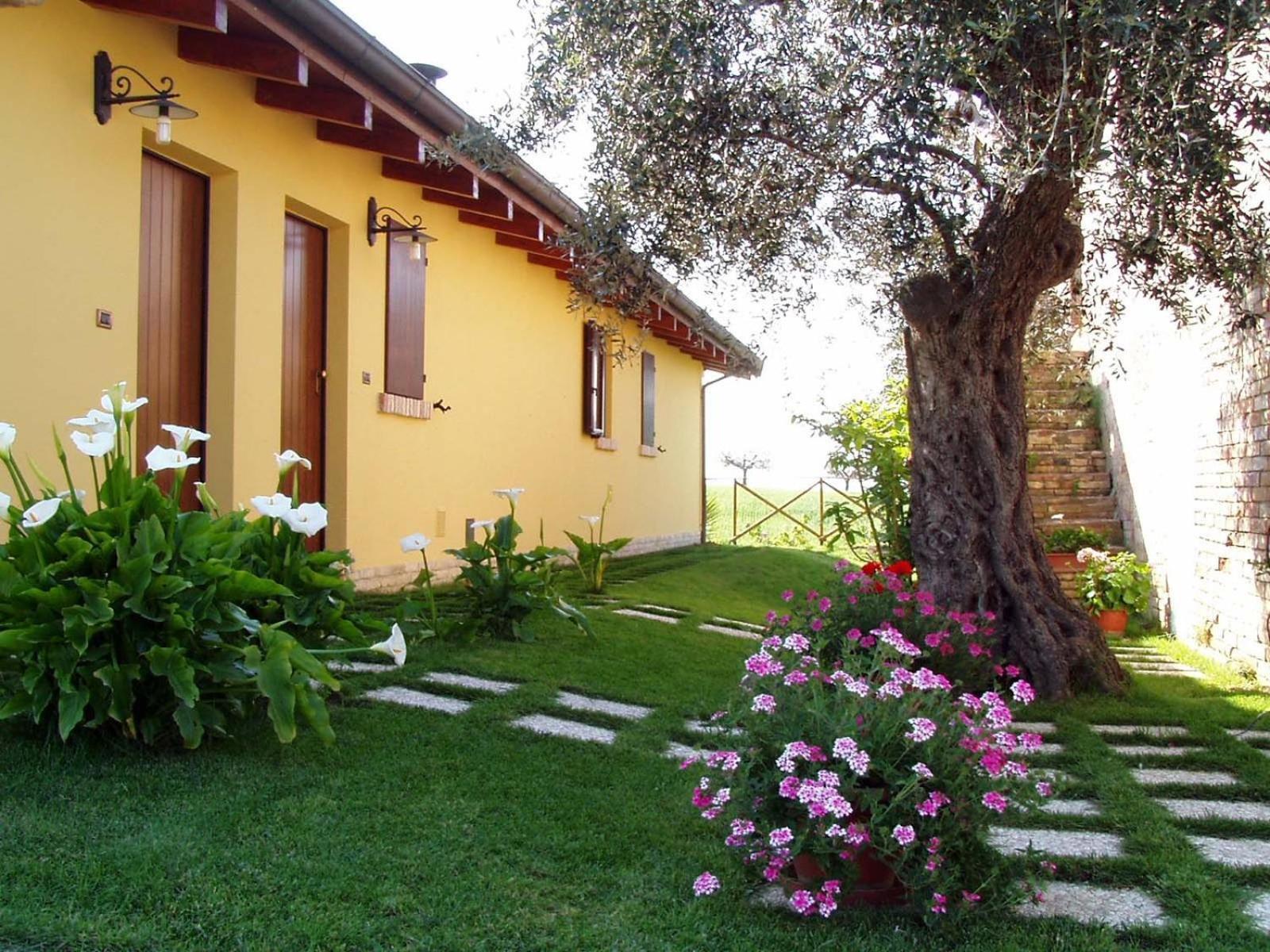 Agriturismo Tenuta Santa Maria Notaresco Экстерьер фото