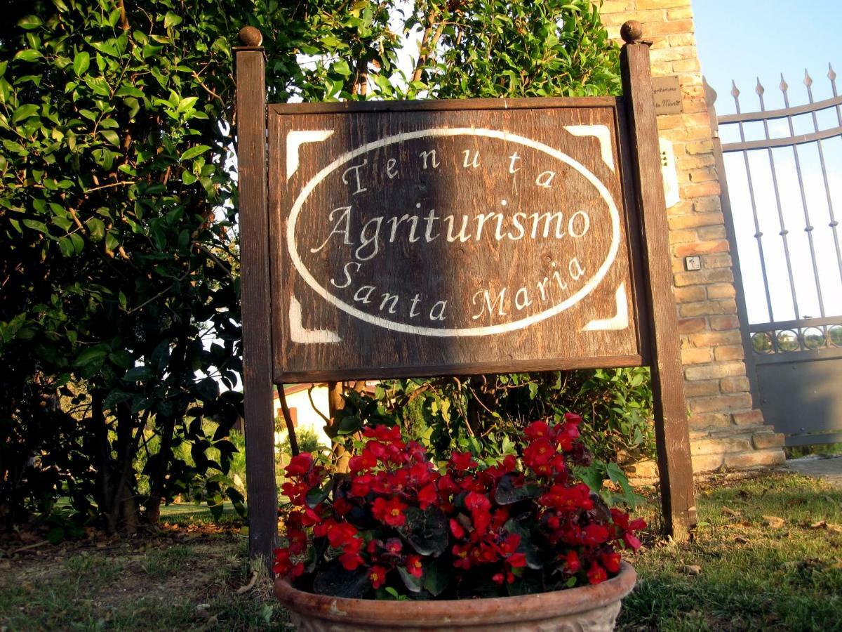 Agriturismo Tenuta Santa Maria Notaresco Экстерьер фото