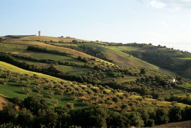 Agriturismo Tenuta Santa Maria Notaresco Экстерьер фото