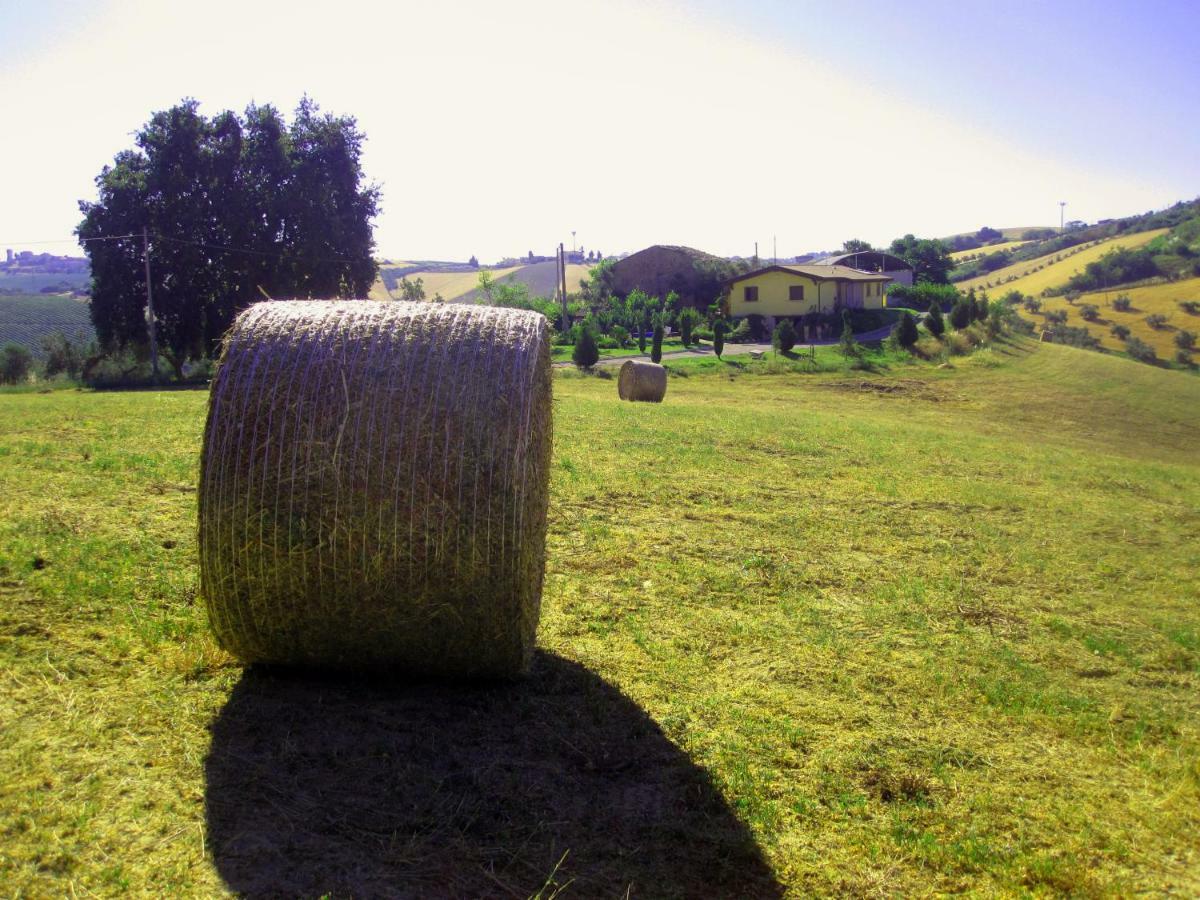 Agriturismo Tenuta Santa Maria Notaresco Экстерьер фото
